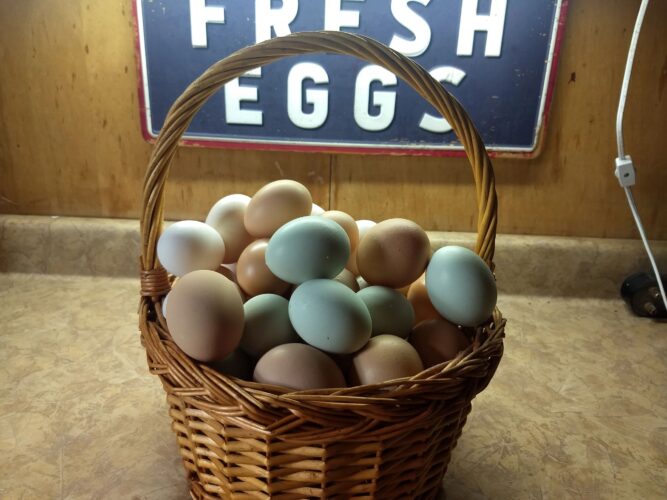 Put All Your Eggs in One Basket: The Case for Taking on One Self-Reliance Skill at a Time
